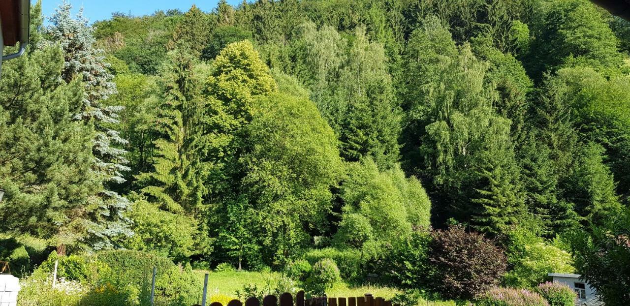 Art Apartment - Harz Stolberg i. Harz Εξωτερικό φωτογραφία